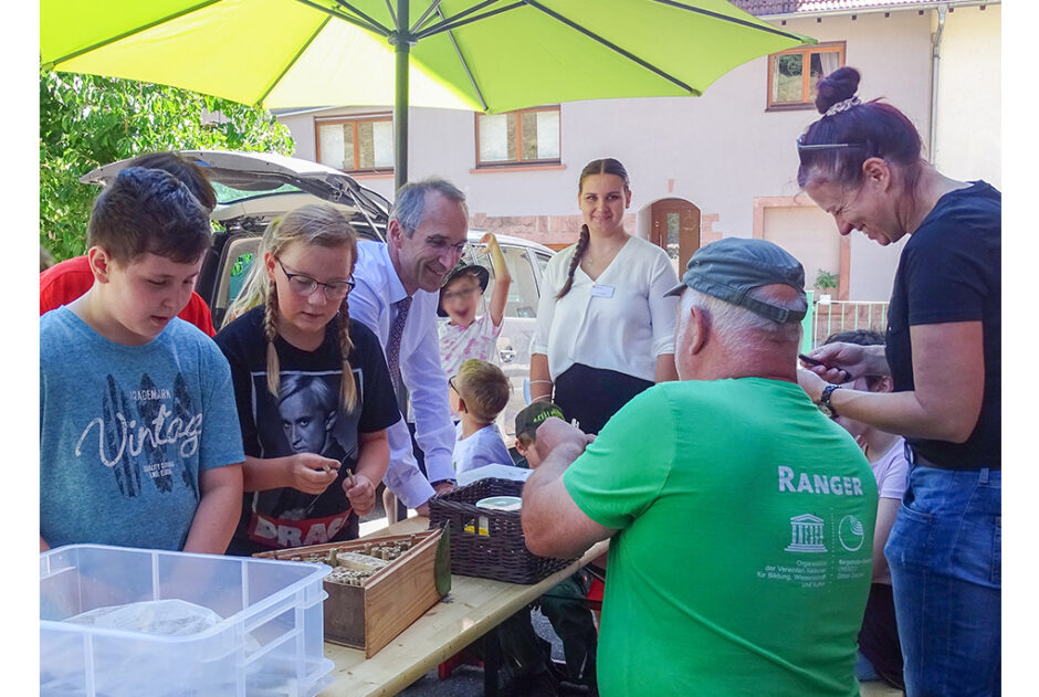 Initiative „Ohne Insekten geht es nicht“ für Odenwälder Grundschulen